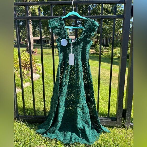 Hill House Collector’s Edition Botanical Garden Lace Ellie Nap Dress NWT - Picture 13 of 16